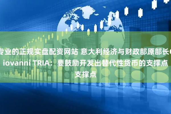 专业的正规实盘配资网站 意大利经济与财政部原部长Giovanni TRIA：要鼓励开发出替代性货币的支撑点