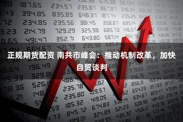 正规期货配资 南共市峰会：推动机制改革，加快自贸谈判