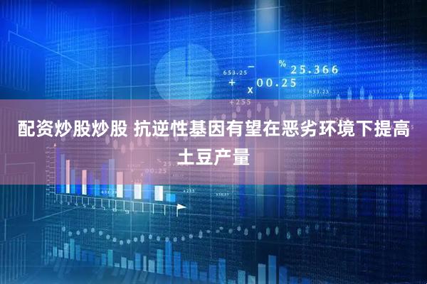 配资炒股炒股 抗逆性基因有望在恶劣环境下提高土豆产量